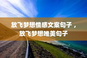 放飞梦想情感文案句子 ，放飞梦想唯美句子