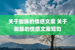 关于蜘蛛的情感文案 关于蜘蛛的情感文案短句