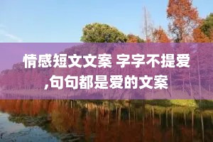 情感短文文案 字字不提爱,句句都是爱的文案